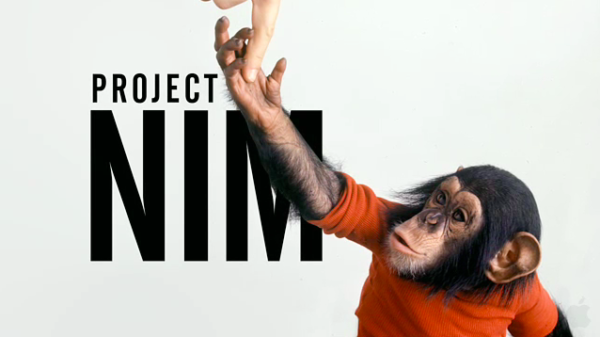 “Project Nim” (2011): การสำรวจในความสัมพันธ์ระหว่างมนุษย์และช้าง